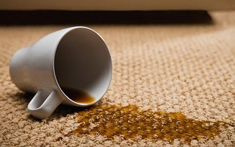 cleaning carpet coffee stain