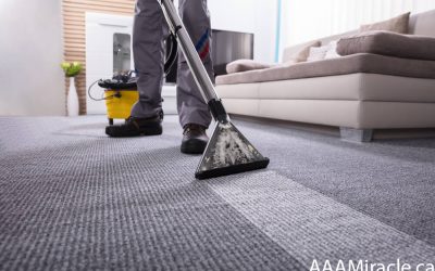 Say Goodbye to Stubborn Carpet Stains with Our Expert Carpet Cleaning