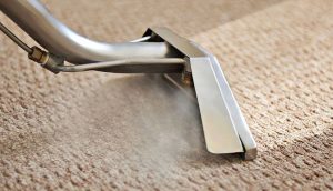 Carpet Cleaning in Burnaby