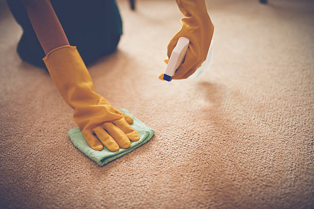 Carpet stain removal in Vancouver
