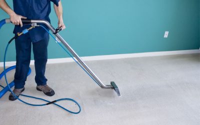 Local Carpet Cleaners in Vancouver: Your Trusted Partners for Pristine Carpets