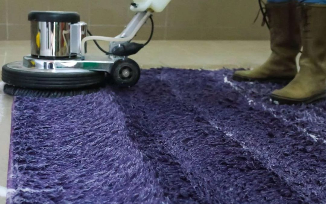 nhancing the Lifespan of Your Carpets