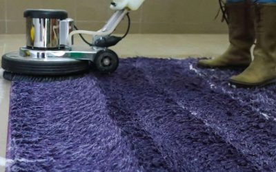 Enhancing the Lifespan and Beauty of Your Carpets