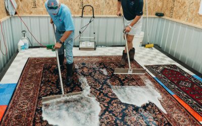 Professional Carpet Cleaning Services in Vancouver